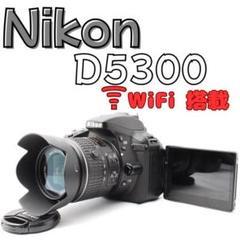 ⭐️Wi-Fi使える⭐️Nikon D5100 Wi-Fi機能付SDカードセット Wi-Fiでスマホ転送♥️Nikon D5300セット✨️バッグ付きで