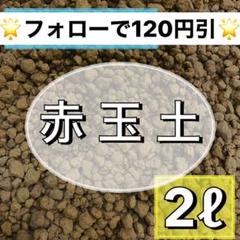 ⭐︎庭屋が薦める赤玉土⭐︎ 2ℓ 小粒 多肉植物 サボテン 観葉植物 土