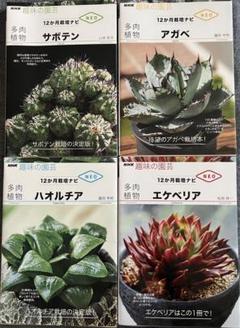 趣味の園芸　4冊セット