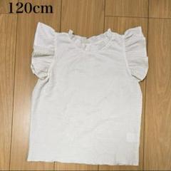 美品　120cm Tシャツ　トップス　レース　アイボリー
