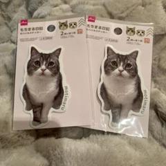 Amazon.co.jp: もちまる日記 トートバッグ 縦型 ライトピンク 2個セット ダイソー スリーピー もち様＆はな君 猫 ねこ :  文房具・オフィス用品