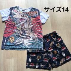 サイズ14 150〜160cm相当 ジュラシック・パーク パジャマセット