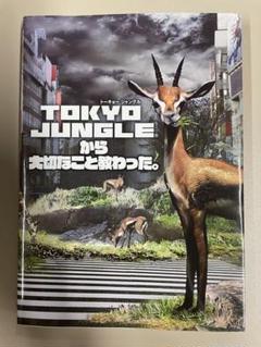TOKYO JUNGLEから大切なこと教わった。