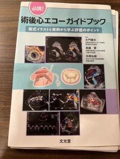 2025年最新】心エコー 文光堂の人気アイテム - メルカリ