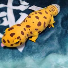 レオパのきいちゃん ぬいぐるみ レオパ レオパードゲッコー きいちゃん 大きめ