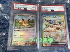 PSA10 テラスタルフェスex イーブイ　2連番　SAR マスターボール PSA10】 連番 イーブイex SAR 2種 テラスタルフェス