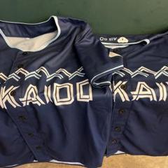 日本ハム　WE LOVE HOKKAIDO FIGHTERS ユニフォーム　2枚