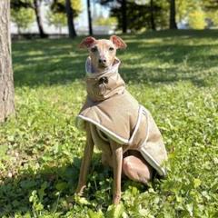 イタグレ服 S 中綿軽量バックルコートdoggystarイタリアングレー