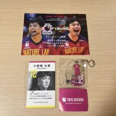 東京グレートベアーズ　グレベア　小田嶋大貴　グッズ　サイン　グレベアシート　名刺