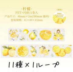 1セットのみ❣️ 人気海外マステ新品未使用品・中古品セット 楽天市場】即日出荷 ヴィンテージ マスキングテープ ◇幅広5cm