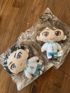 ハイキュー!!ぬいぐるみマスコット2 及川徹&岩泉一セット