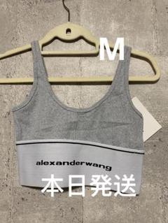 2025年最新】alexander wang ブラトップの人気アイテム - メルカリ