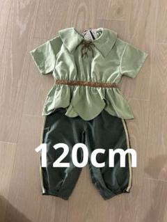 cottoli ピーターパン　80サイズ 新品未使用 タグ付き バースデイ Disney Cottoli ピーターパン