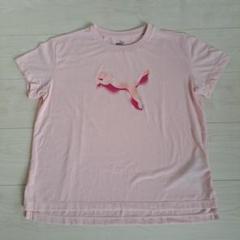 PUMA ピンク Tシャツ サイズ160　スポーツ　運動会