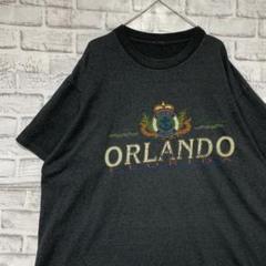 USA製90sヴィンテージTシャツ！シングルステッチ　グレー半袖古着　XL724