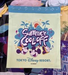 【即日発送】ミセスグリーンアップル ディズニー　きんちゃく　ディズニーランド