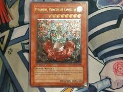 椿姫ティタニアル レリーフ 北米 英語 1st