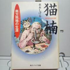 水木しげる監修 南方熊楠 猫楠 100体限定フィギュア 妖怪