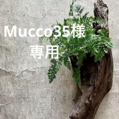 2025年最新】益子焼 作家の人気アイテム - メルカリ