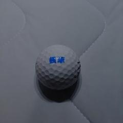 菅楓華ネームボール(サイン入)