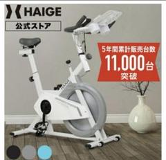 ハイガーHAIGE スピンバイク HG-YX-5006S 新品マット付のサムネイル