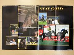 新品未使用 名馬 アクリルパネル ステイゴールド StayGold 競馬 競走馬 新品未使用 名馬 アクリルパネル ステイゴールド StayGold 競馬
