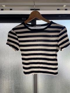 ZARA ストライプ 半袖Tシャツ