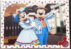 ディズニー ミニー スペフォ 2013 30周年 ディズニー スペフォ シンデレラブレーション ミッキー ミニー