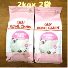 男性に人気! ロイヤルカナン キトン 2kg×3袋セット 新品未開封 送料無料 ペットフード ロイヤルカナン キトン2kg×2袋