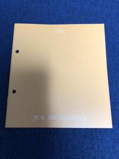 SEVENTEEN ヘンガレ スングァン ジュン
