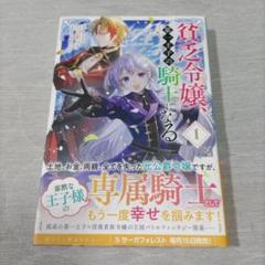 貧乏令嬢、第一王子の騎士になる = A poor young lady bec…