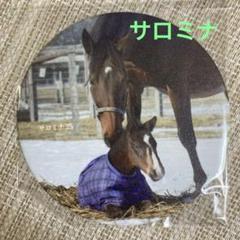 クロワデュノール ノーザンホース モバガチャ まとめ売り 競馬】クロワデュノール グッズセット - メルカリ