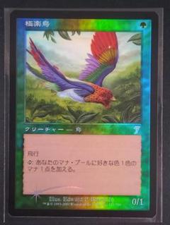 極楽鳥 第七版日本語foil MTG 極楽鳥/Birds of Paradise 7ED 日本語 foil - メルカリ