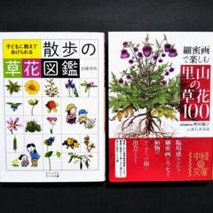 Amazon.co.jp: 野村陽子 絵葉書集 里山の四季を描く : おもちゃ