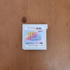 12歳のソフト ニンテンドー3DS 12歳 ニンテンドー3DS ゲームソフト - メルカリ