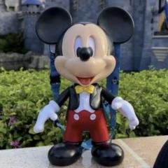 1点限り ディズニーランド 70周年限定 ポップコーンバケット アナハイム m73444926243_1.jpg?1747614977