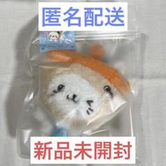 NCT WISH DOLL ユウシ バブルニャン ぬいぐるみ 新品未開封