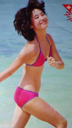 松田聖子 1981年〜1985年 大量 切り抜き ファイル 2冊 120P