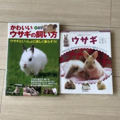 ウサギの飼い方 飼育本 2冊セット 小動物ビギナーズガイド ガイドブック