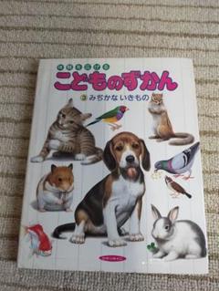 【親子で楽しめる！】体験を広げる　こどものずかん③みぢかないきもの