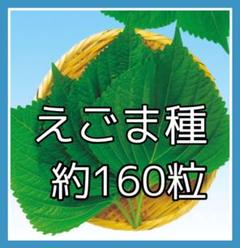 えごま種 0.5g約160粒