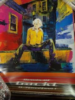 Gackt（ガクト） 入手困難非売品B2サイズポスター30枚セット