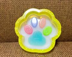 肉球 ✨ 小物入れ Amazon.com: Honbay 40PCS Cute Candy Colors Dog Bone Flatback