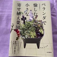 ベランダで愉しむ小さな寄せ植え菜園