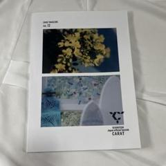 SEVENTEEN seventeen in twenty特典 トレカ　メンシプ SEVENTEEN RIGHT HERE IN JAPANホシ スタンプラリー 特典トレカ