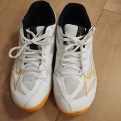 Mizuno バレーボールシューズ 25cm