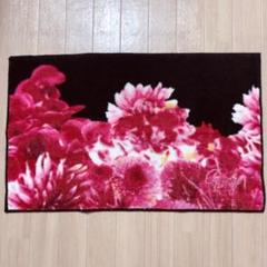 Rady ♡ 玄関マット (最終お値下げ)