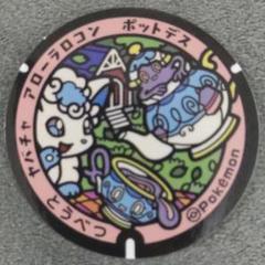 【匿名配送】【7-4】ポケふた　ヤバチャ　アローラロコン　ポットデス