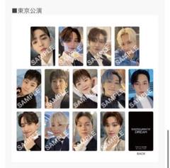 DREAM トレカ コンプリート 東京 来場者限定 未開封 SEVENTEEN DREAM トレカ コンプリート 東京 来場者限定 未開封 SEVENTEEN