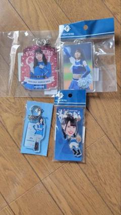 塩澤美咲 完売品 廃盤 レア 希少 アクスタ ファイターズガール きつねダンス 塩澤美咲 完売品 廃盤 レア 希少 アクスタ ファイターズガール